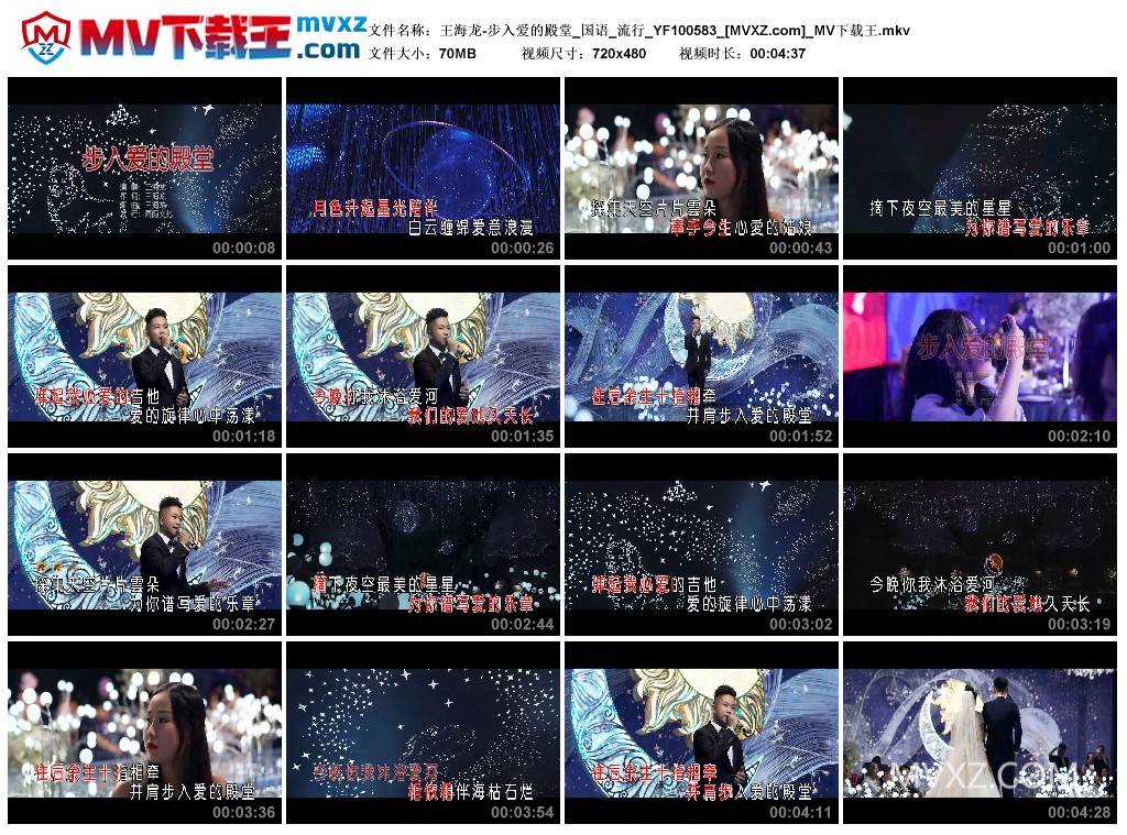 王海龙-步入爱的殿堂_国语_流行_YF100583